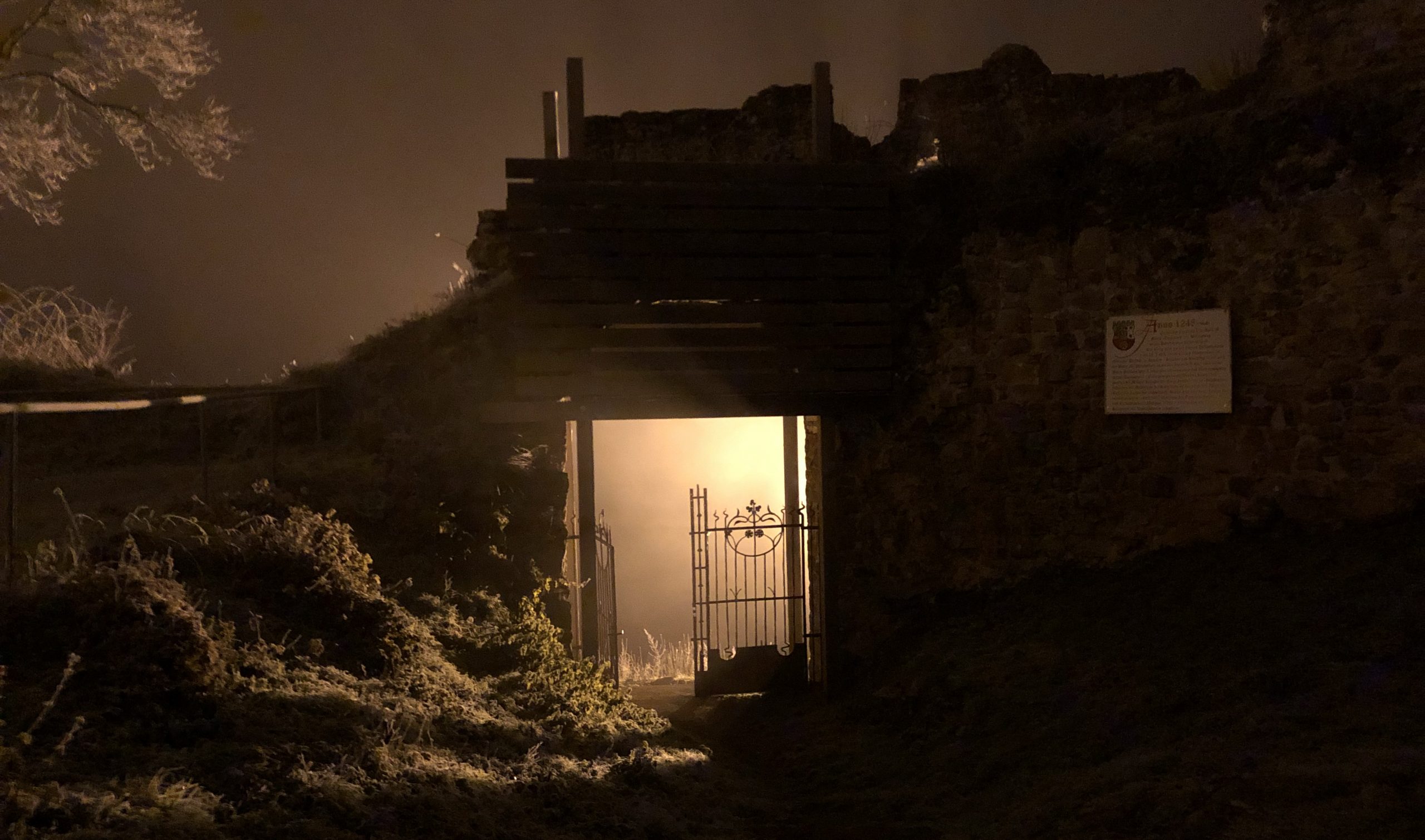 Mellnau Newsletter Dezember 2025