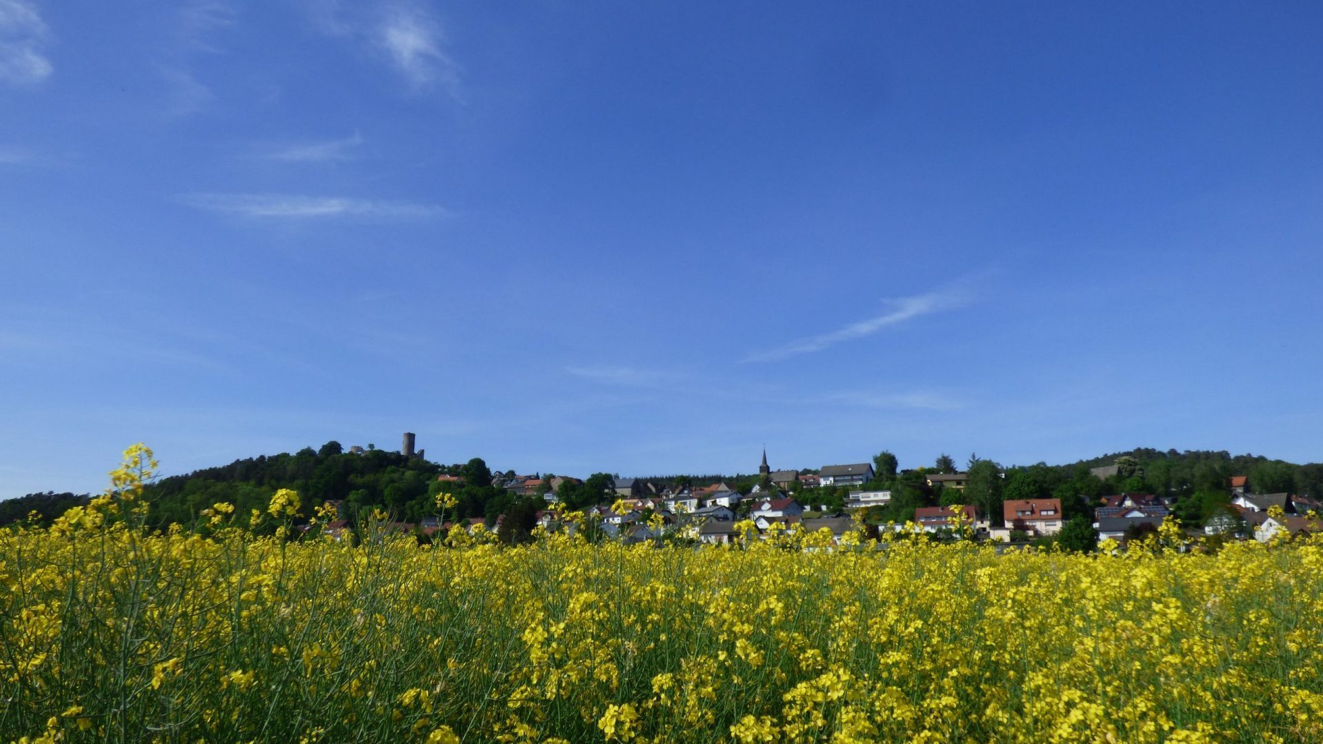 10 Jahre Bioenergiedorf Oberrosphe